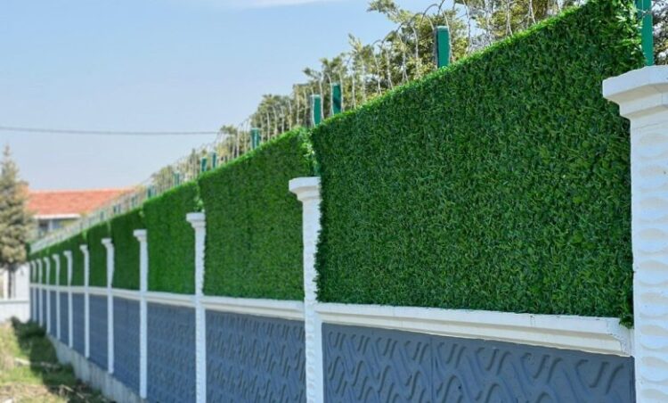 WhatsApp-Image-2024-05-18-at-18.38.36-780×470