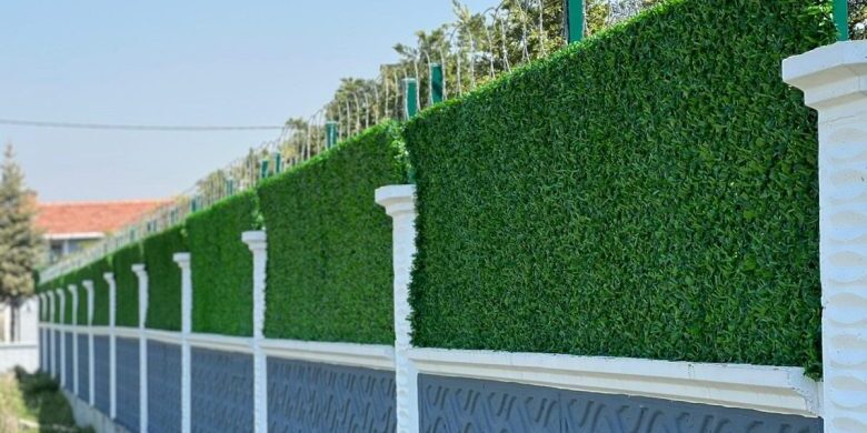 WhatsApp-Image-2024-05-18-at-18.38.36-780×470